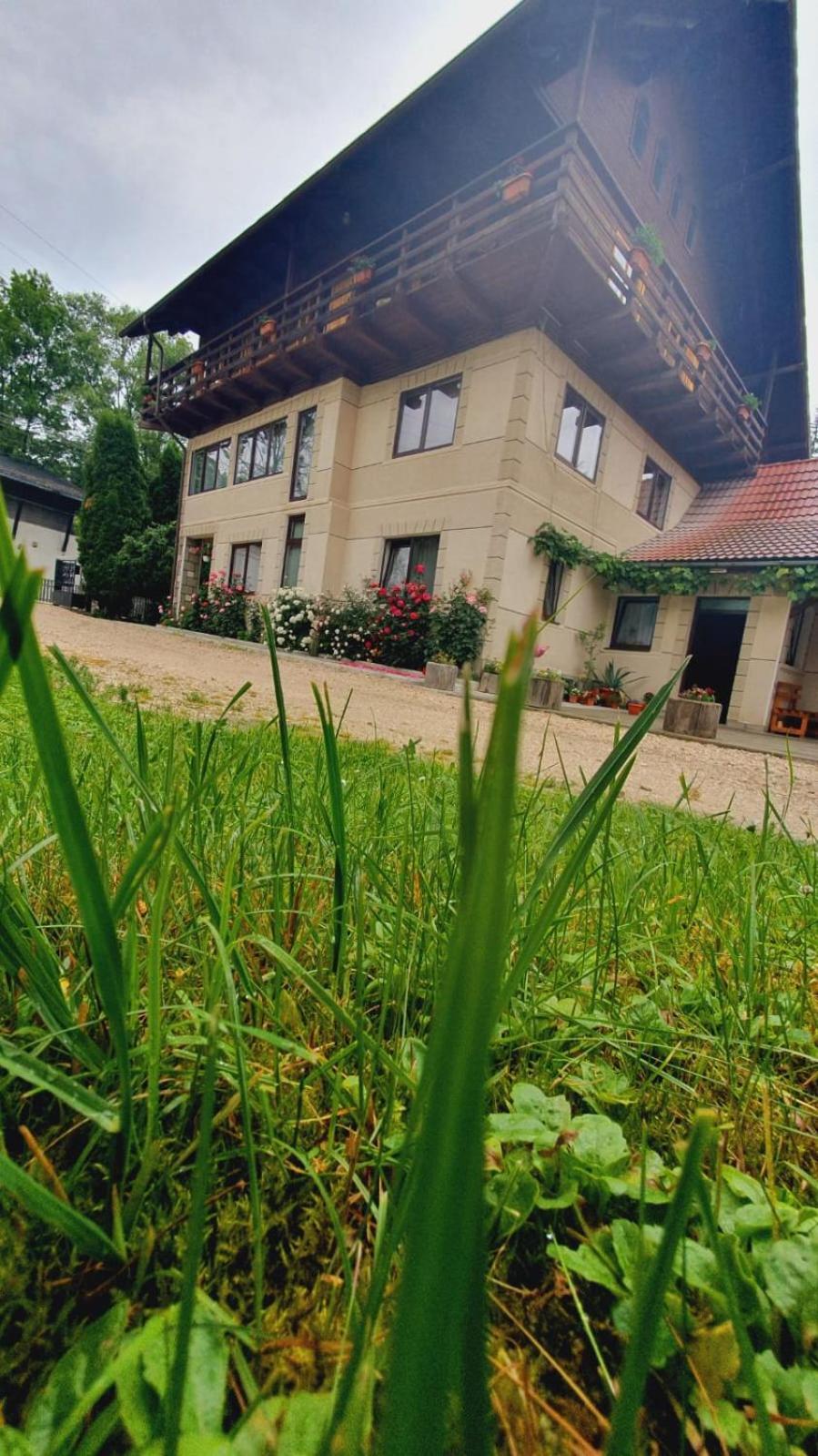 Pensiunea Belvedere Bran  Dış mekan fotoğraf