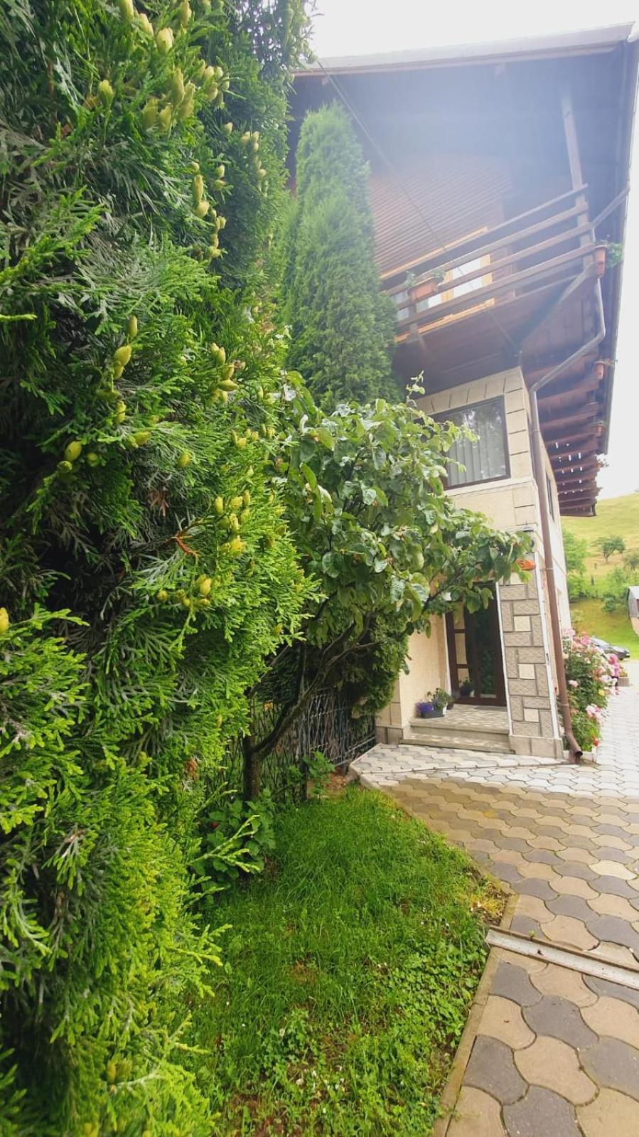 Pensiunea Belvedere Bran  Dış mekan fotoğraf