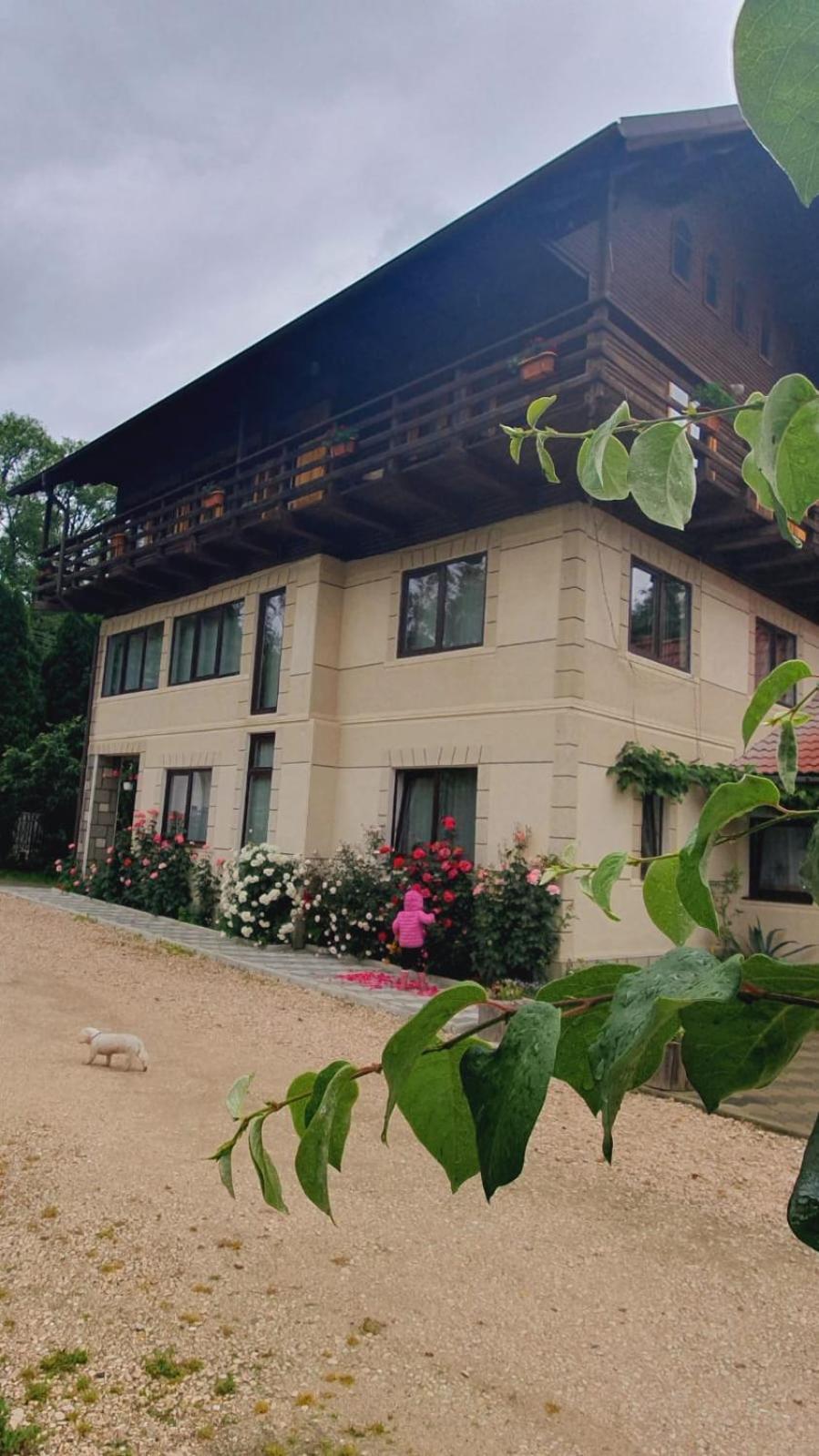 Pensiunea Belvedere Bran  Dış mekan fotoğraf