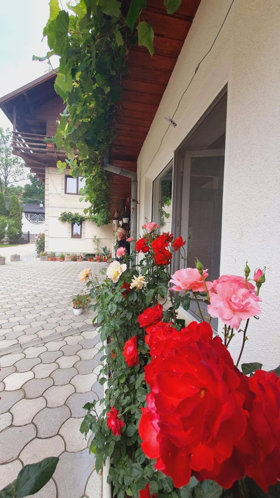 Pensiunea Belvedere Bran  Dış mekan fotoğraf