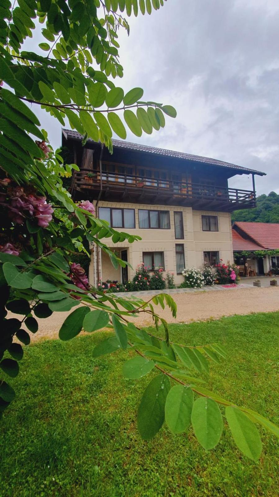 Pensiunea Belvedere Bran  Dış mekan fotoğraf