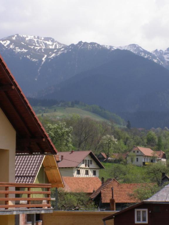 Pensiunea Belvedere Bran  Dış mekan fotoğraf
