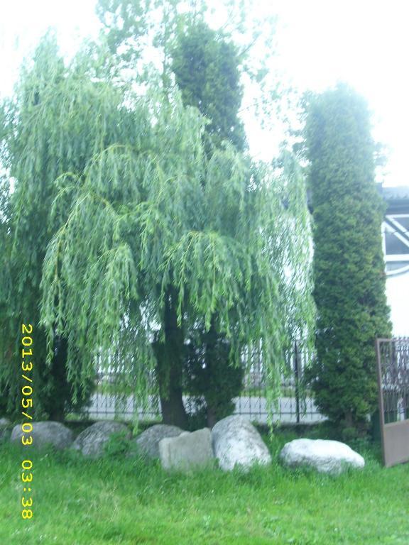Pensiunea Belvedere Bran  Oda fotoğraf